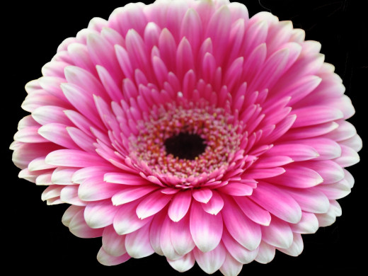 429732 (a): :1600x1200